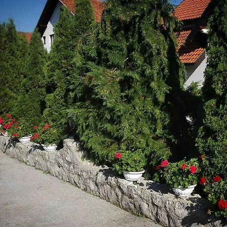 Bozovic Mv Apartments Златибор Екстериор снимка