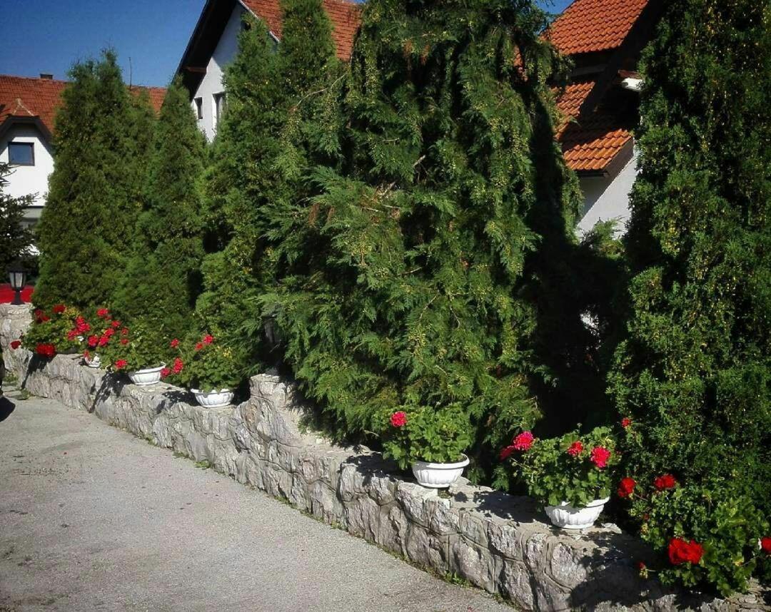 Bozovic Mv Apartments Златибор Екстериор снимка